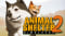 Animal Shelter 2 Update v1 0 32-RUNE