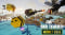Bee Island Update v20250512-TENOKE
