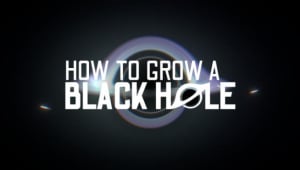 How To Grow a Black Hole