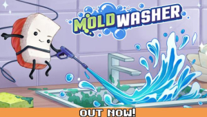 Moldwasher