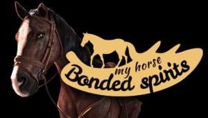My Horse Bonded Spirits-SKIDROW