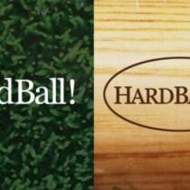 HardBall HardBall II-GOG
