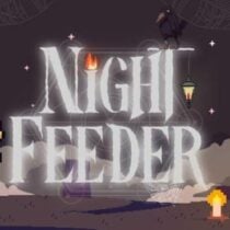 Night Feeder