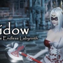 Widow in the Endless Labyrinth-TENOKE