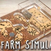 Ant Farm Simulator