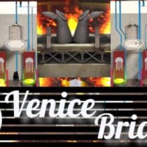 Venice Bridges-TENOKE