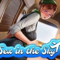 Sex in the Sky
