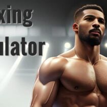 Boxing Simulator