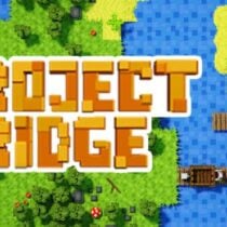 Project Bridge