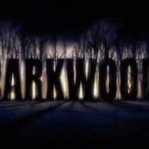 Darkwood v1.1 hotfix 4-GOG