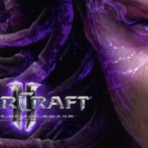StarCraft II Heart of the Swarm-FLT