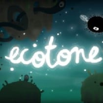 ecotone