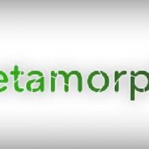 Metamorphic