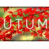 Autumn v1.0.6