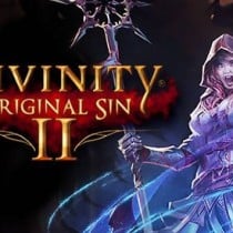 Divinity: Original Sin 2 v3.0.50.423-GOG