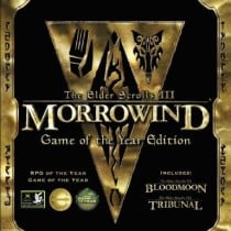 The Elder Scrolls III: Morrowind GOTY Edition-GOG