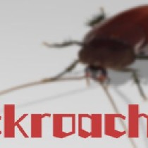 Cockroach VR