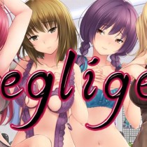 Negligee Adult Deluxe DLC
