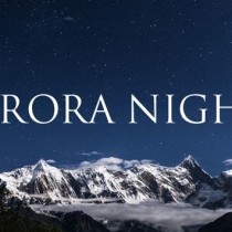 Aurora Nights