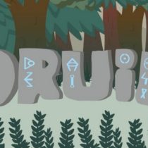 Druid v1.1.1