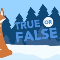 True or False 2