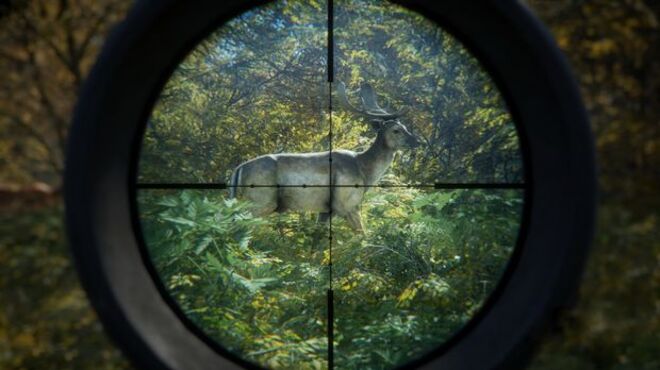theHunter Call of the Wild Torrent Download