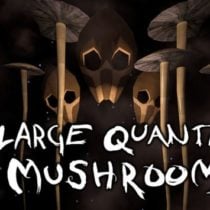 A Large Quantity Of Mushrooms