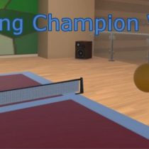 Pong Champion VR