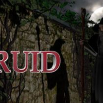 Project Druid – 2D Labyrinth Explorer-