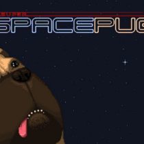 Super Space Pug