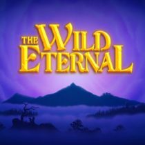 The Wild Eternal-PLAZA