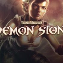 Forgotten Realms: Demon Stone-GOG