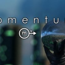 Momentum