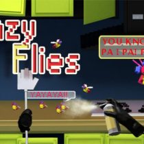 Crazy Flies