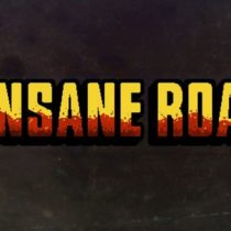 Insane Road