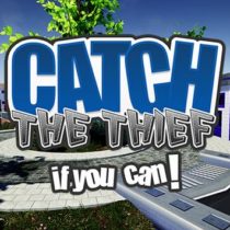 Catch the Thief, If you can!
