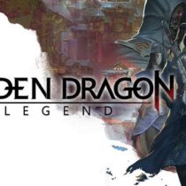 Hidden Dragon Legend-CODEX