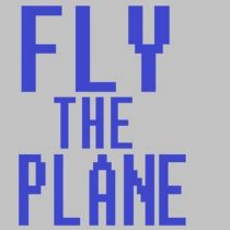 Fly the plane