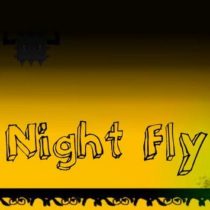 Night Fly