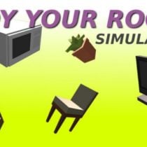 Tidy Your Room Simulator