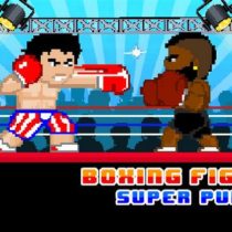 Boxing Fighter : Super punch