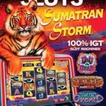 IGT Slots: Sumatran Storm