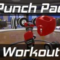 Punch Pad Workout