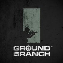 GROUND BRANCH Build 8916448