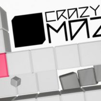 CRAZY MAZE