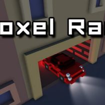 Voxel Race