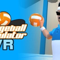 Dodgeball Simulator VR