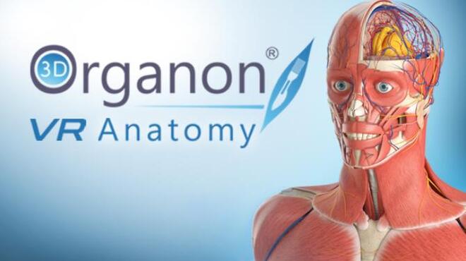 3D Organon VR Anatomy Free Download