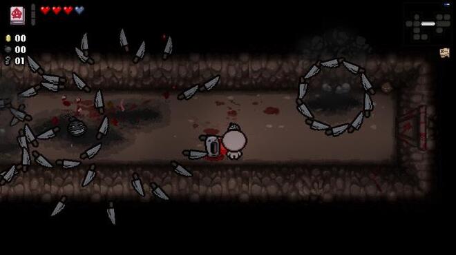 The Binding of Isaac: Afterbirth PC Crack