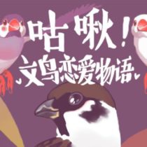 咕啾！文鸟恋爱物语 Love Story of Sparrow